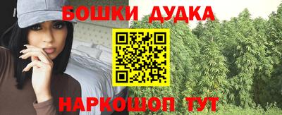 гидра Волгодонск