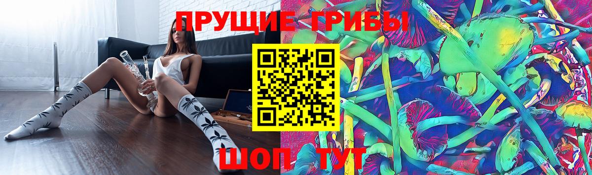 Арзамас  Псилоцибиновые грибы Cubensis  Вход с VPN 