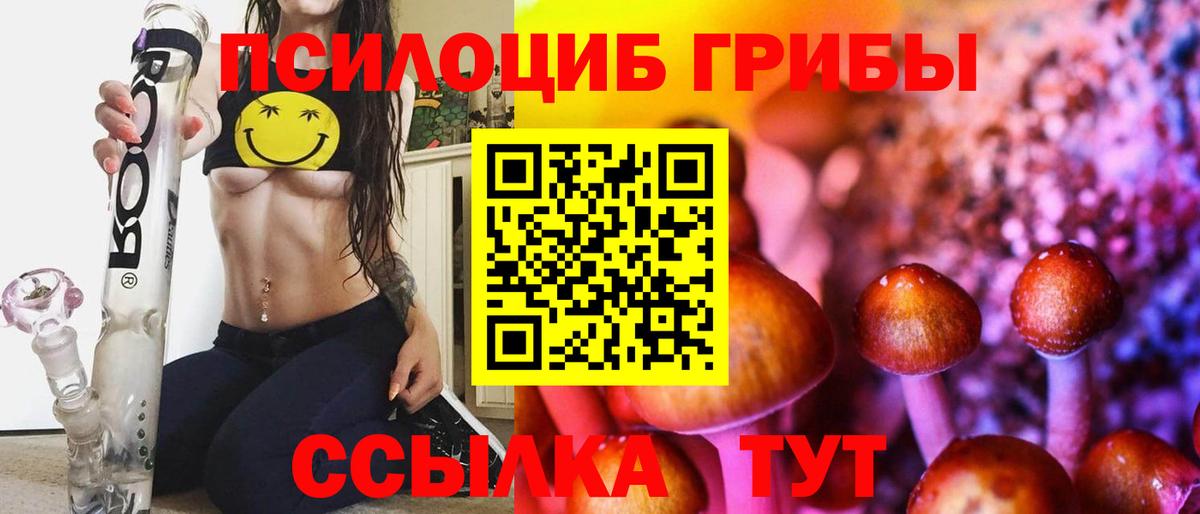 Псилоцибиновые грибы прущие грибы Арзамас